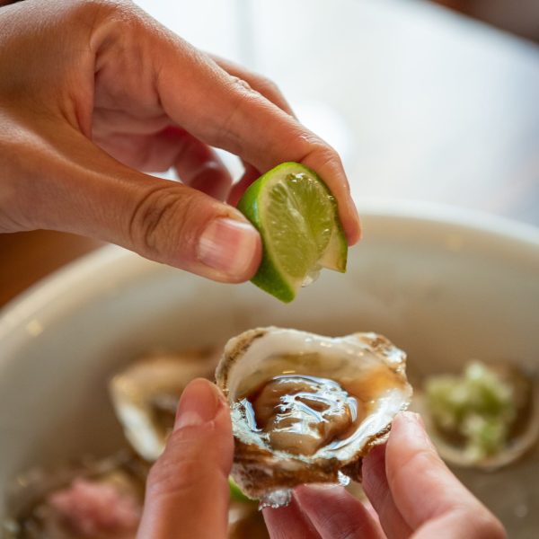 2026-14 DE FEBRERO-102