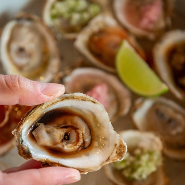 2026-14 DE FEBRERO-103