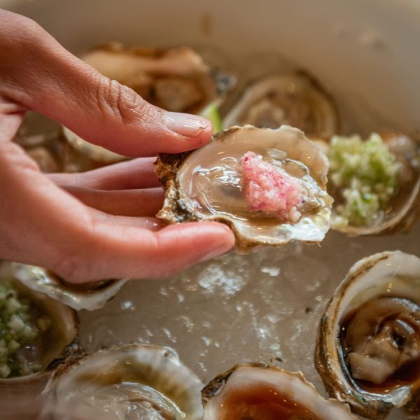 2026-14 DE FEBRERO-104