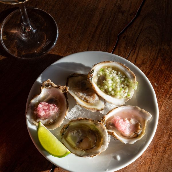 2026-14 DE FEBRERO-116