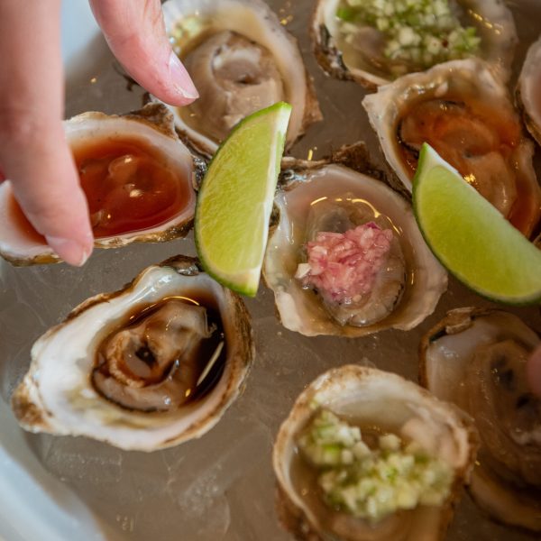 2026-14 DE FEBRERO-97