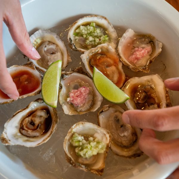 2026-14 DE FEBRERO-98